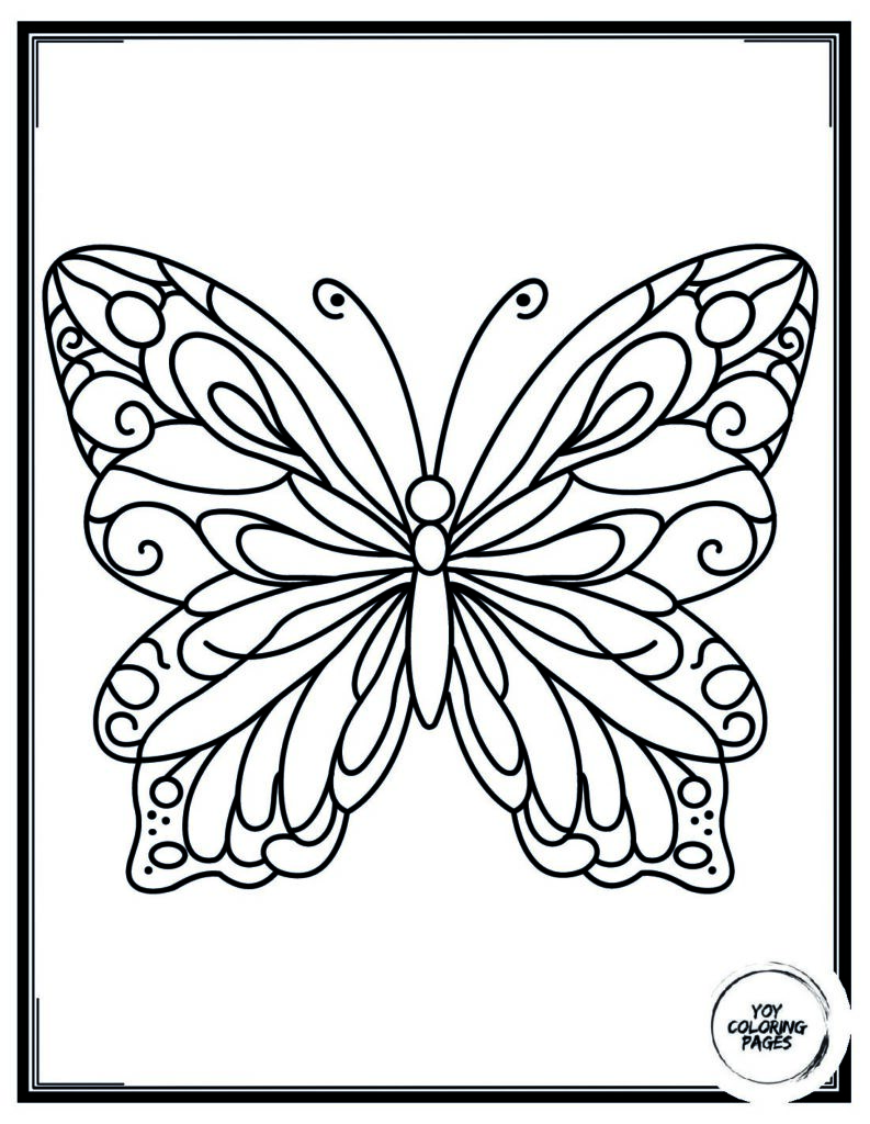 Detailed Butterfly Coloring Page 8 pdf